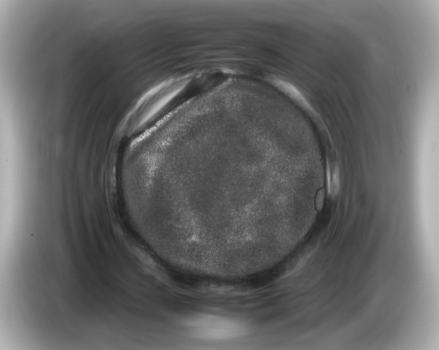 X0000085780531200704091413