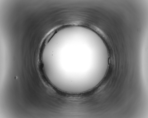 X0000085780532200704091413