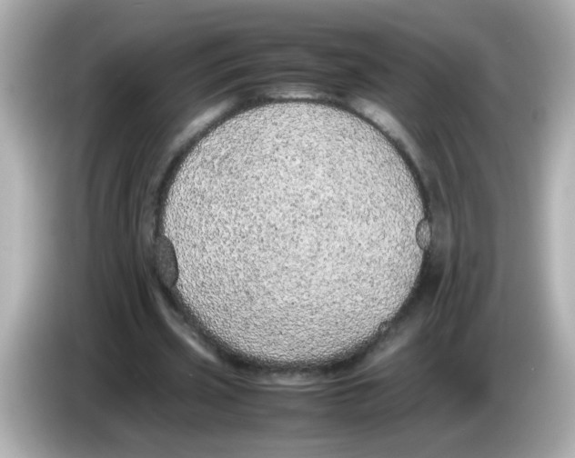 X0000085780533200704091413