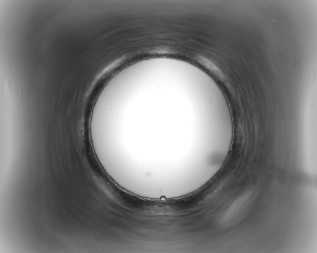 X0000085780535200704091413