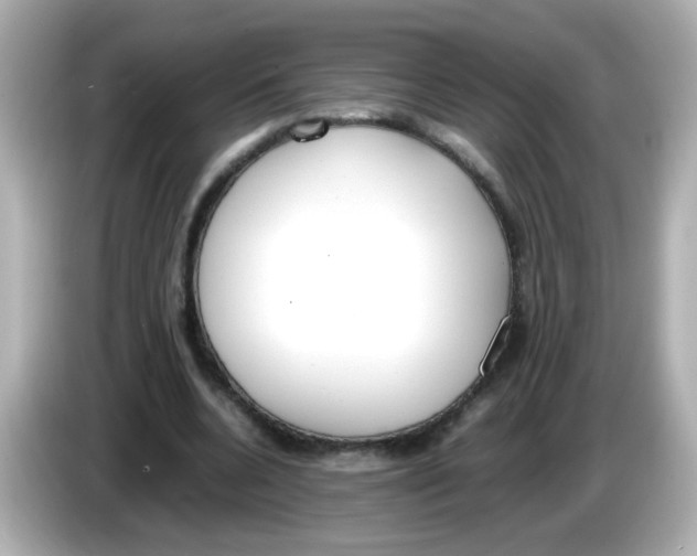 X0000085780536200704091413