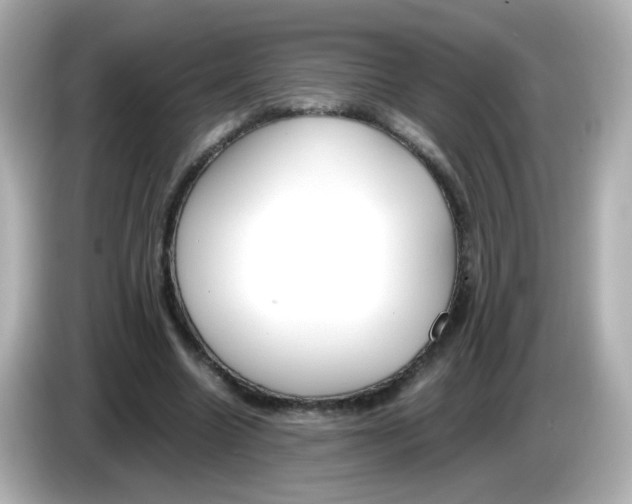 X0000085780538200704091413