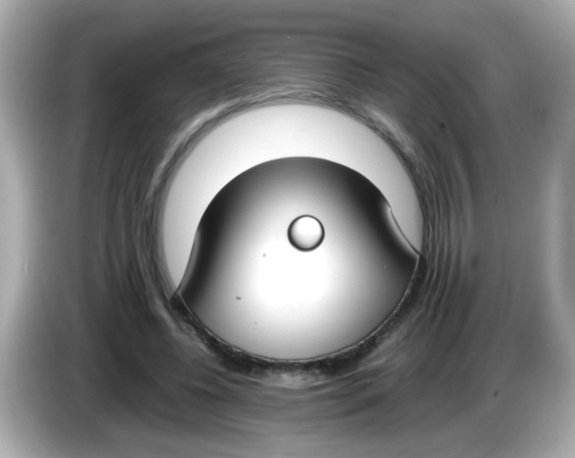 X0000085780540200704091413