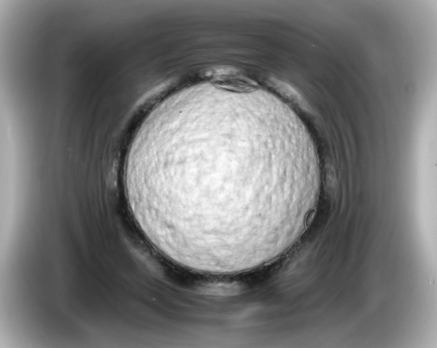 X0000085780543200704091413