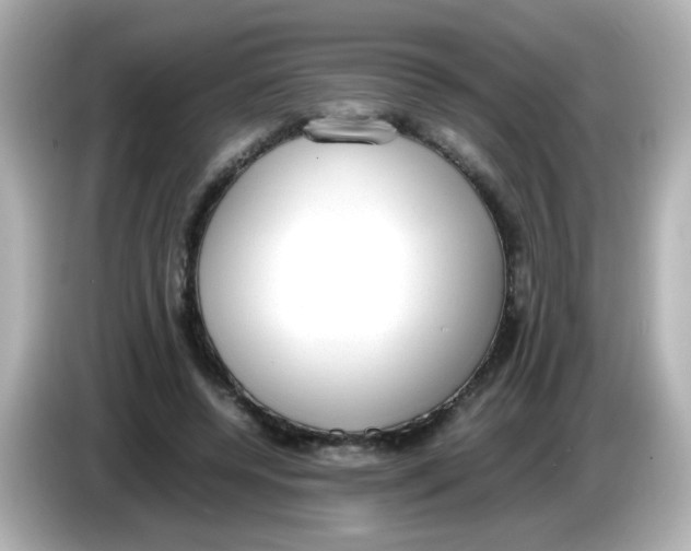 X0000085780544200704091413