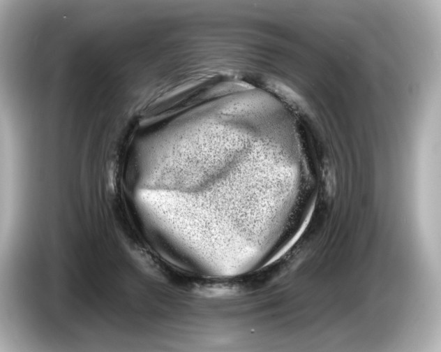 X0000085780546200704091414