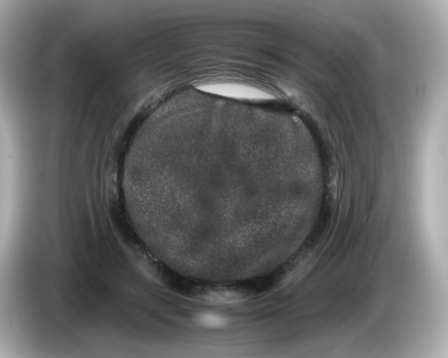 X0000085780547200704091414