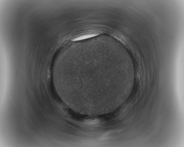 X0000085780551200704091414