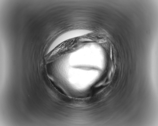 X0000085780552200704091414