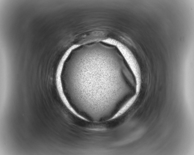 X0000085780553200704091414