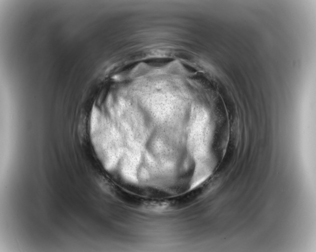 X0000085780554200704091414