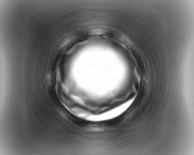 X0000085780556200704091414