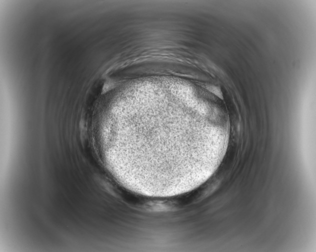 X0000085780558200704091414