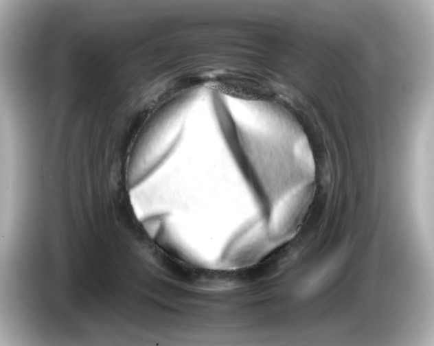 X0000085780559200704091414