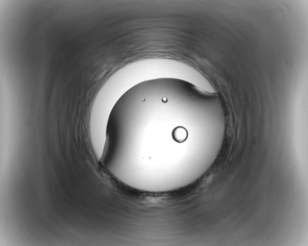 X0000085780560200704091414