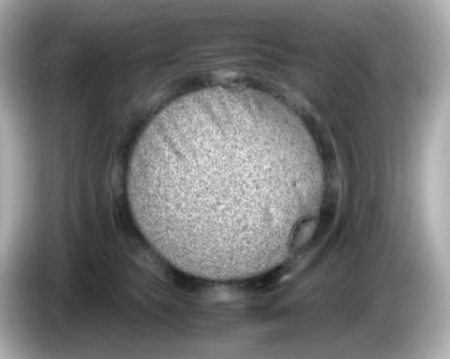 X0000085780565200704091414