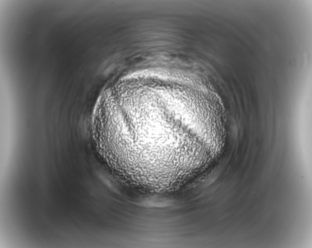 X0000085780568200704091414