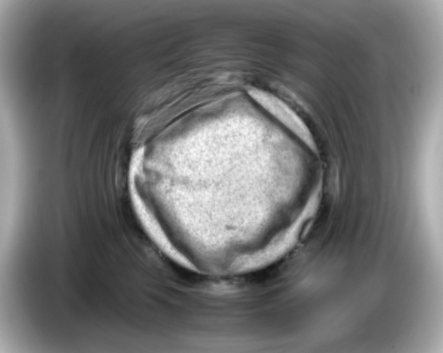 X0000085780569200704091414