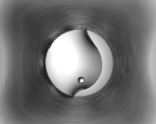 X0000085780570200704091414