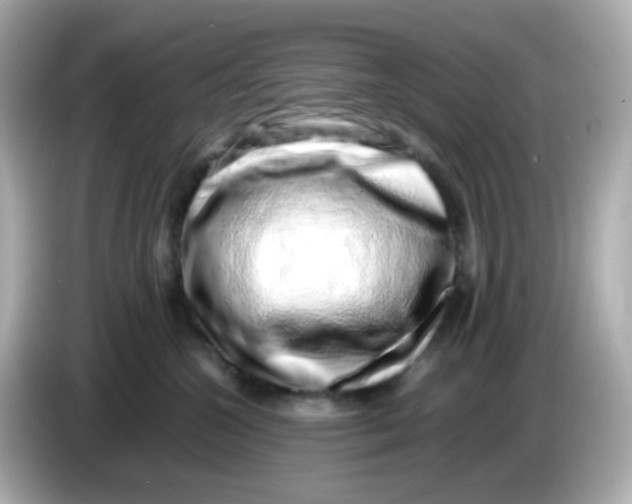 X0000085780572200704091414