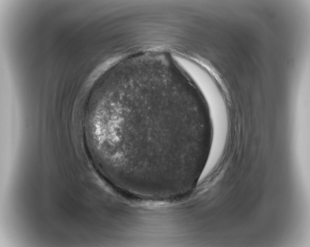 X0000085780577200704091413