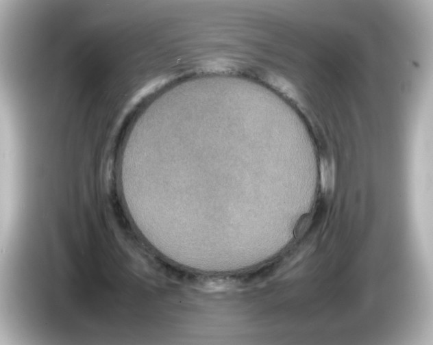 X0000085780579200704091413