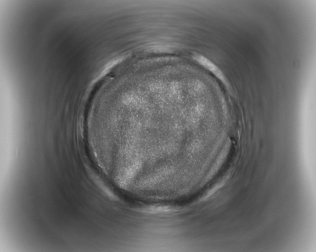 X0000085780581200704091413