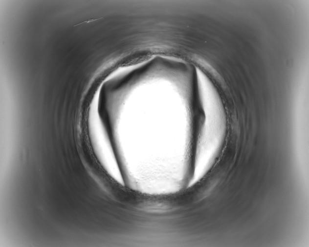 X0000085780582200704091413