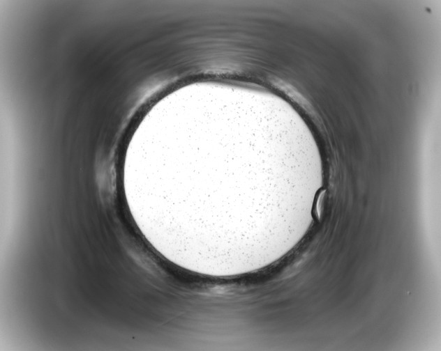 X0000085780584200704091413