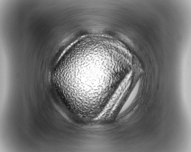 X0000085780589200704091413