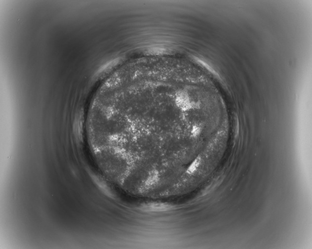 X0000085780590200704091413