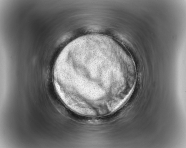 X0000085780591200704091413