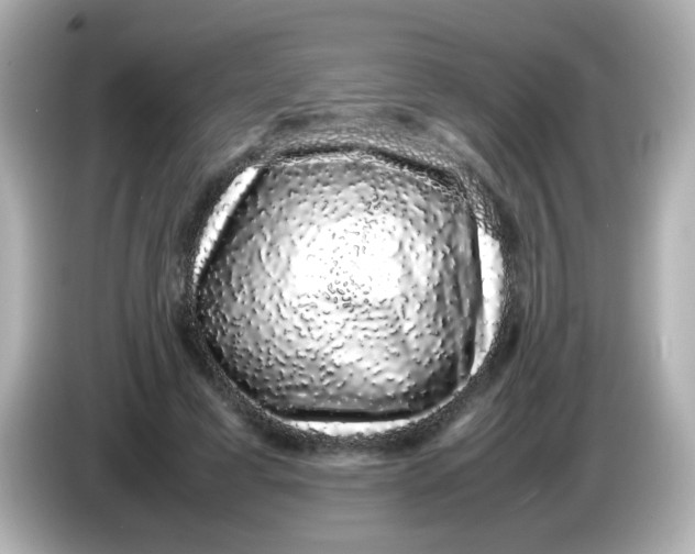 X0000085780593200704091413