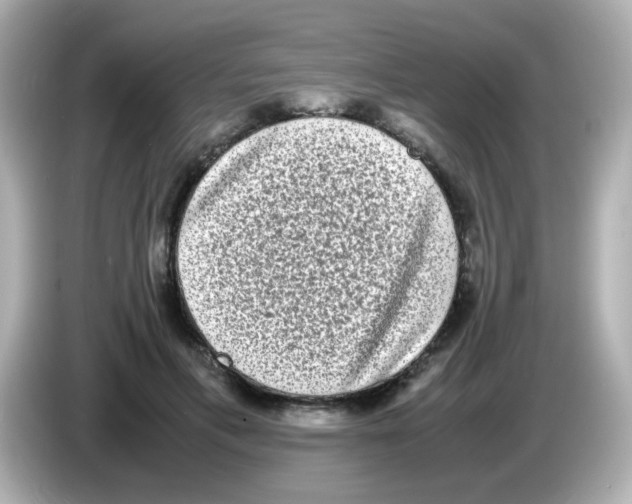 X0000085780597200704091413