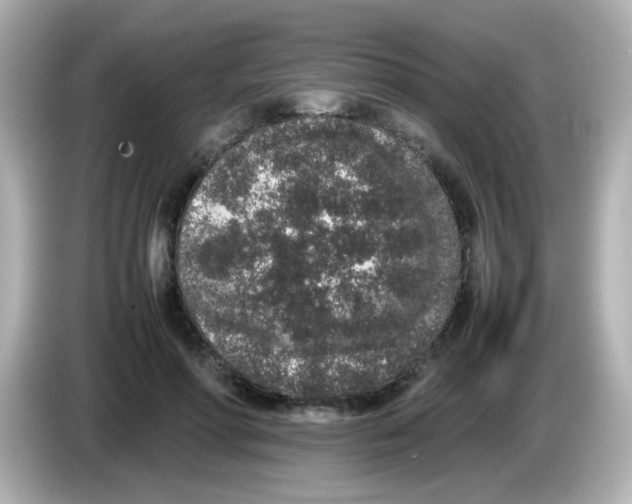 X0000085780598200704091413