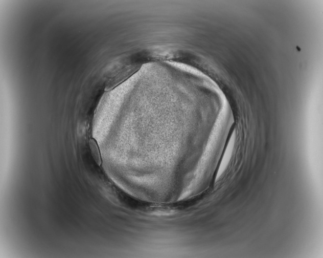 X0000085780601200704091413