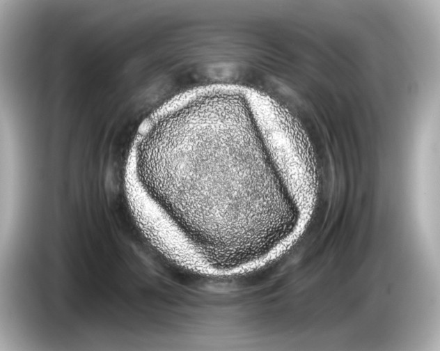 X0000085780606200704091413