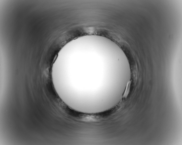 X0000085780611200704091413