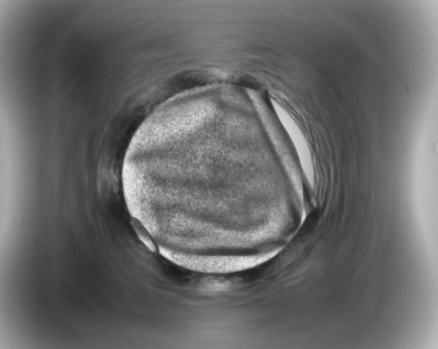 X0000085780613200704091413