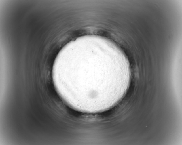 X0000085780615200704091413