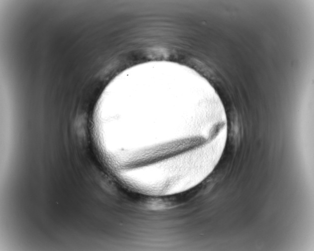 X0000085780616200704091413