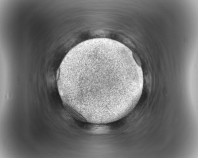 X0000085780617200704091413