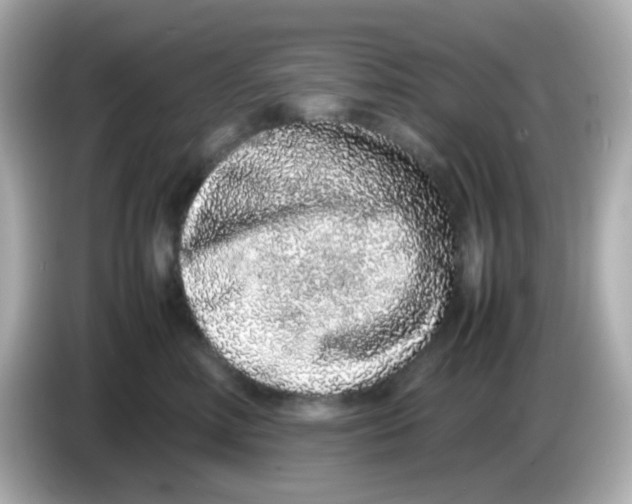 X0000085780618200704091413