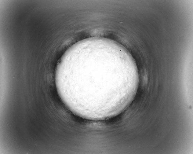 X0000085780619200704091413