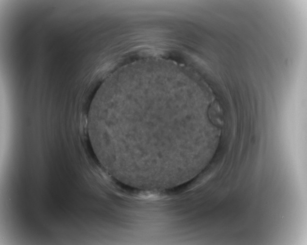 X0000085780624200704091413