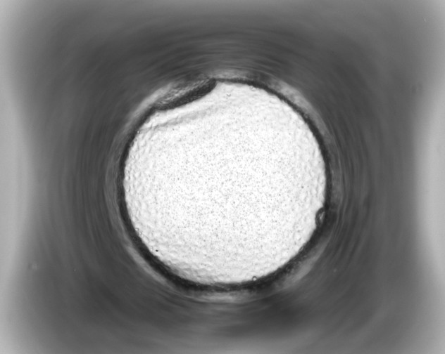 X0000085780625200704091412