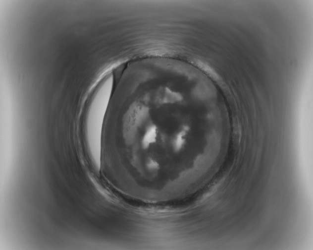 X0000085780626200704091412