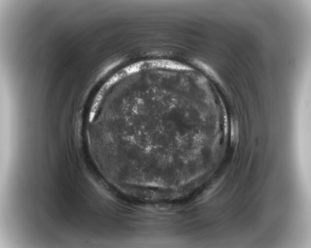 X0000085780627200704091412