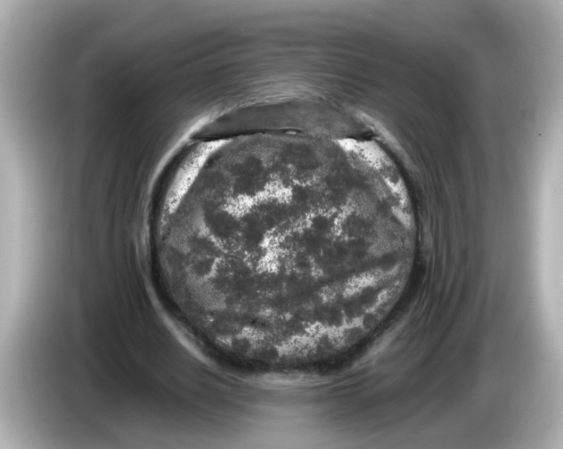 X0000085780630200704091412