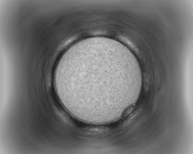 X0000085780631200704091412